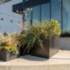 Commercial Outdoor Planters