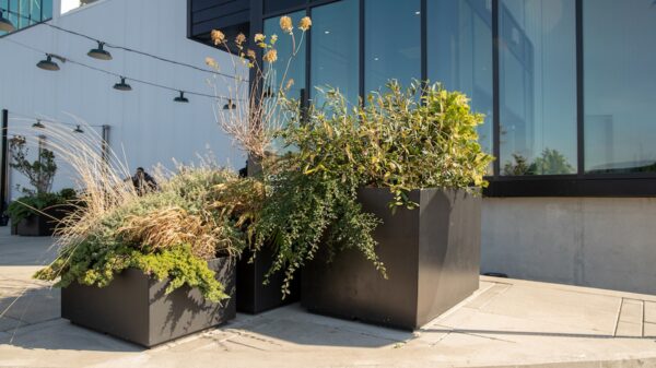 Commercial Outdoor Planters