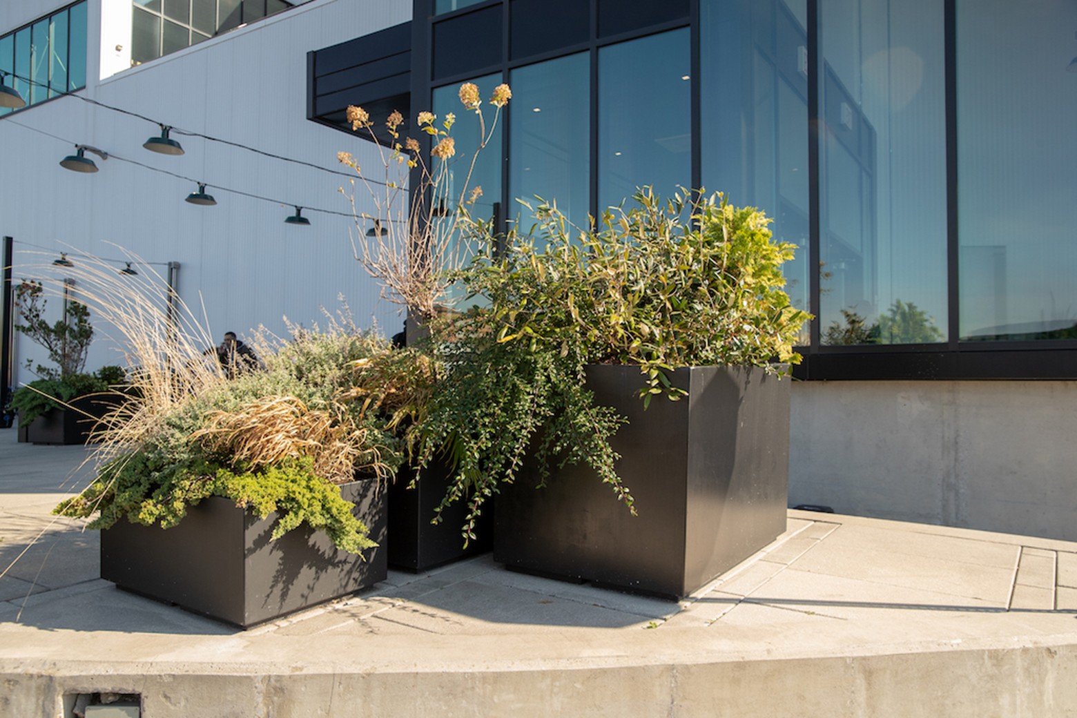 Commercial Outdoor Planters