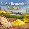 Rising Demand for Sulfur Bentonite: A Key Driver of Sustainable Agriculture