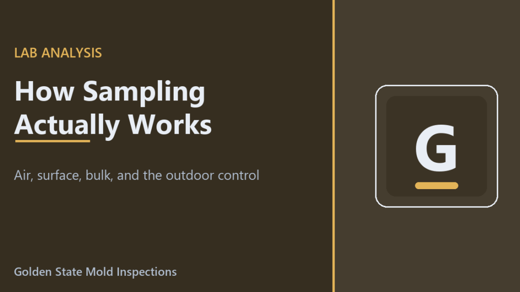 How Mold Sampling and Lab Analysis Work