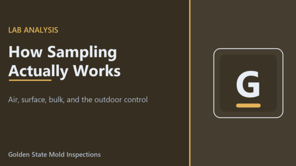 How Mold Sampling and Lab Analysis Work