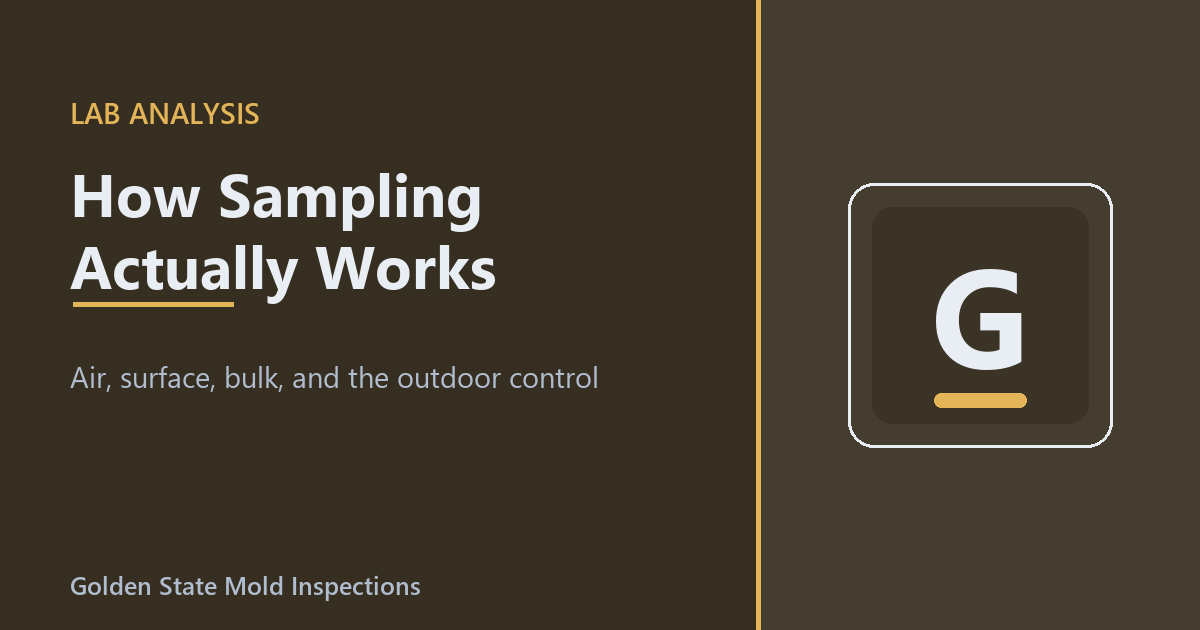 How Mold Sampling and Lab Analysis Work